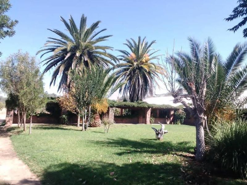 A spacious garden area featuring a brick pergola structure, mature palm trees, and a well-maintained lawn on a small holding property.