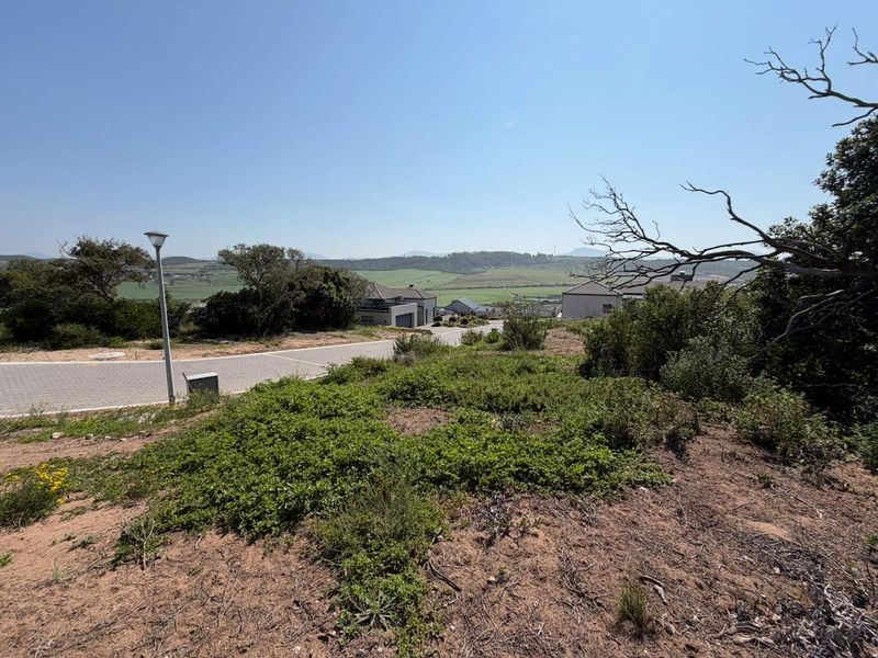 A scenic view overlooking a residential street and surrounding landscape, showcasing the elevated position of the vacant land.