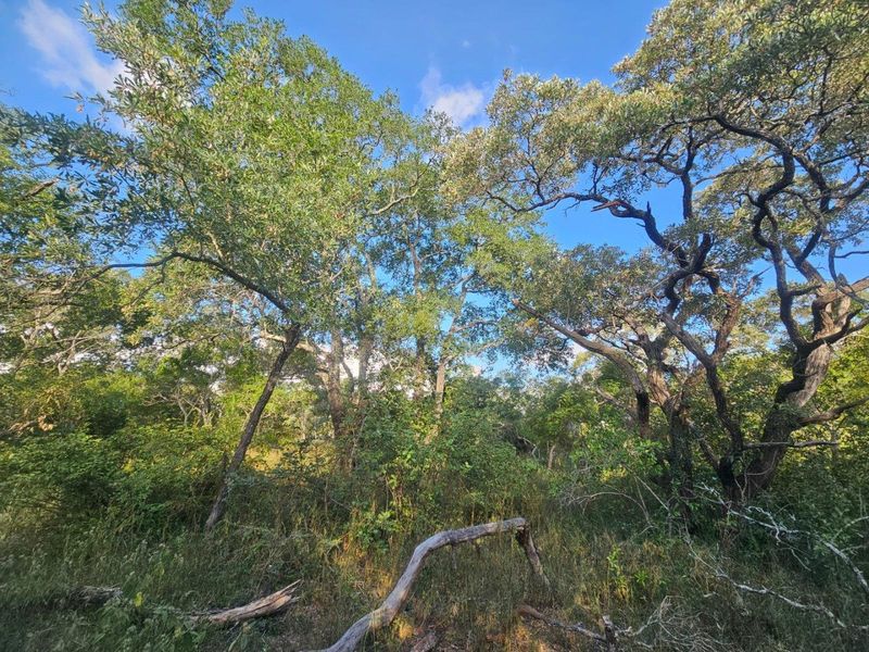 Vacant Land in MODITLO NATURE RESERVE - Photo 10