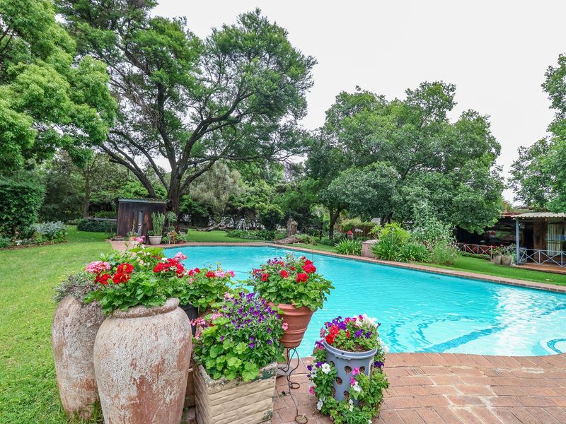 A well-maintained swimming pool set within a lush, mature garden featuring brick paving and established trees.
