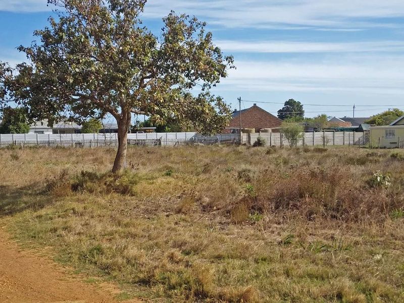 Sail into the sunset - Photo 2