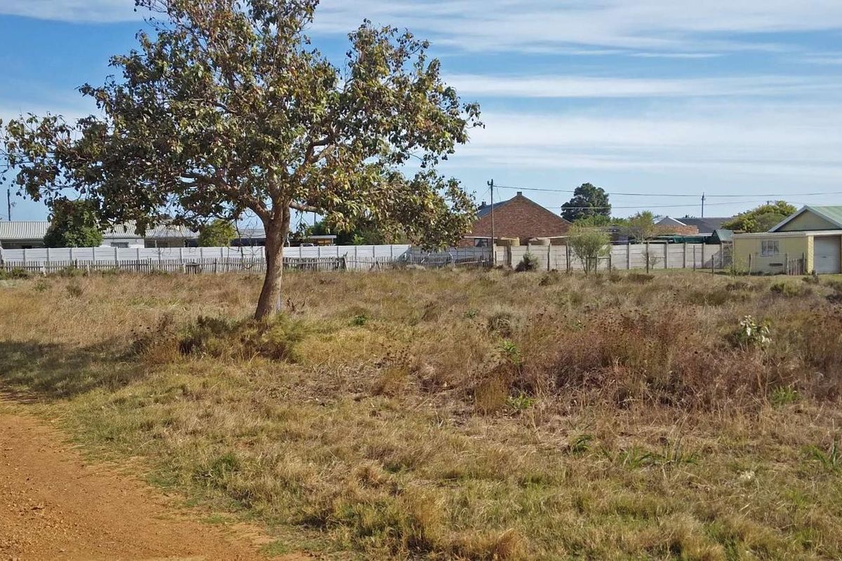 Sail into the sunset - Photo 2