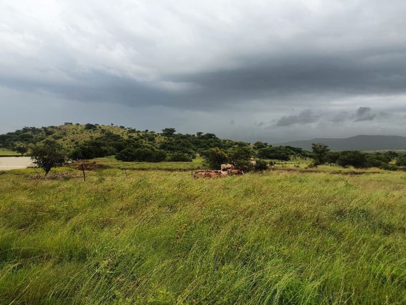 Agricultural Farm for sale - Photo 5