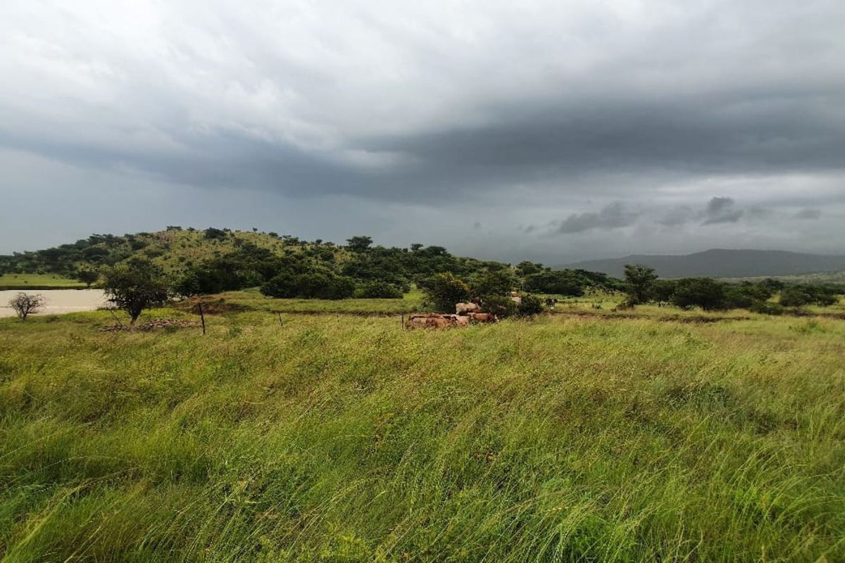 Agricultural Farm for sale - Photo 5