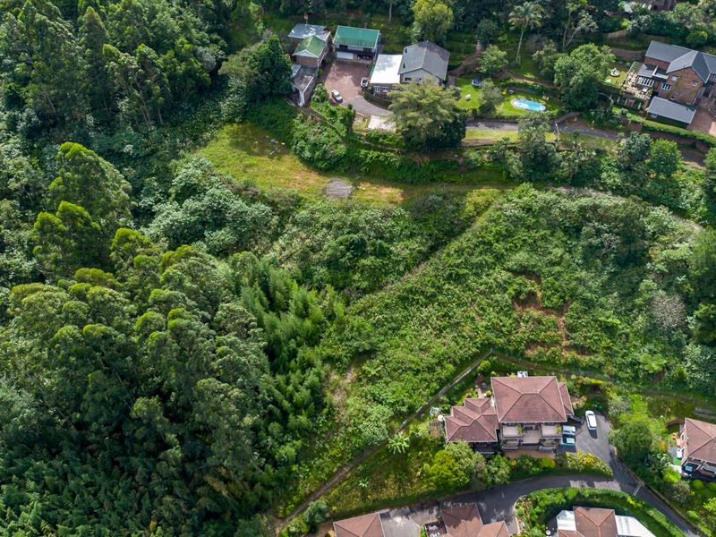 Developmental Opportunities or a Dream Home - Photo 5