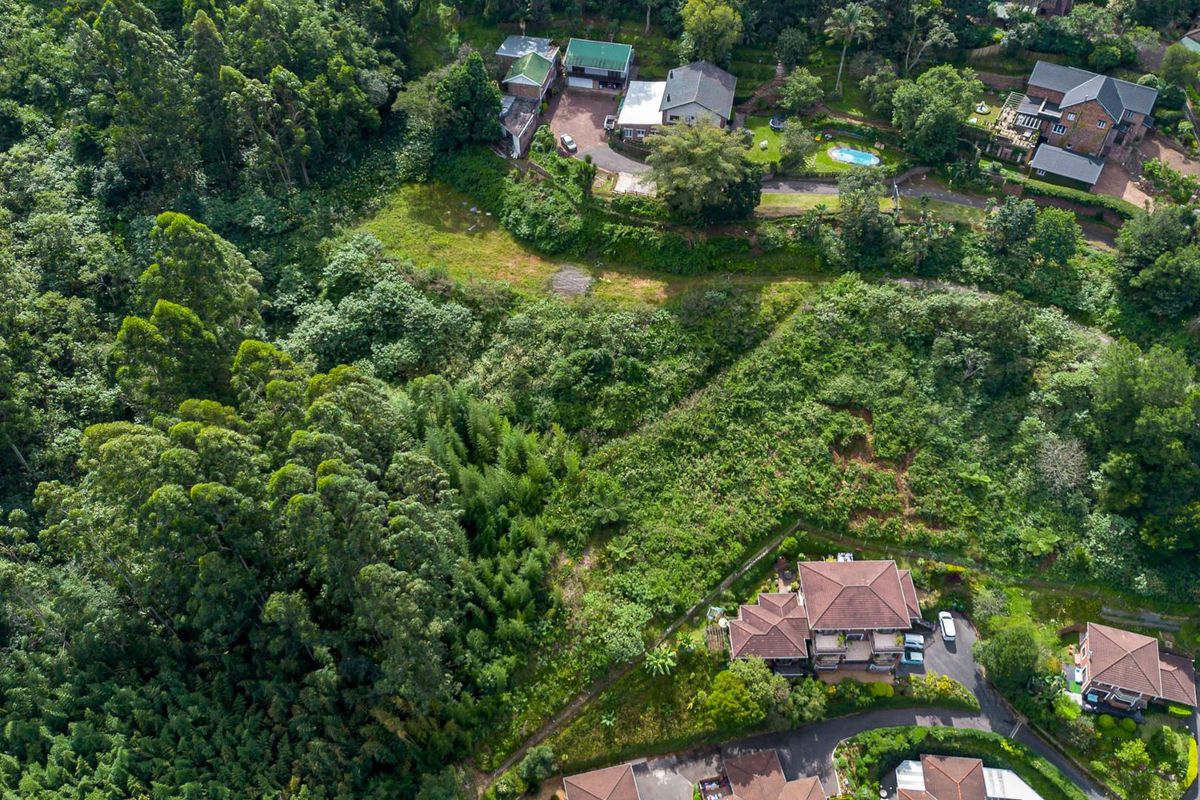 Developmental Opportunities or a Dream Home - Photo 5