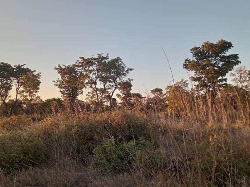 Unlock the Wild – Live the Farm Life! - Photo 6