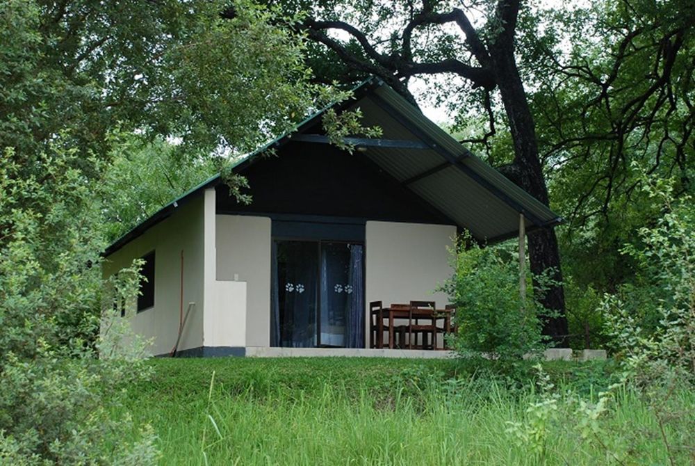 Room Set Amongst Trees