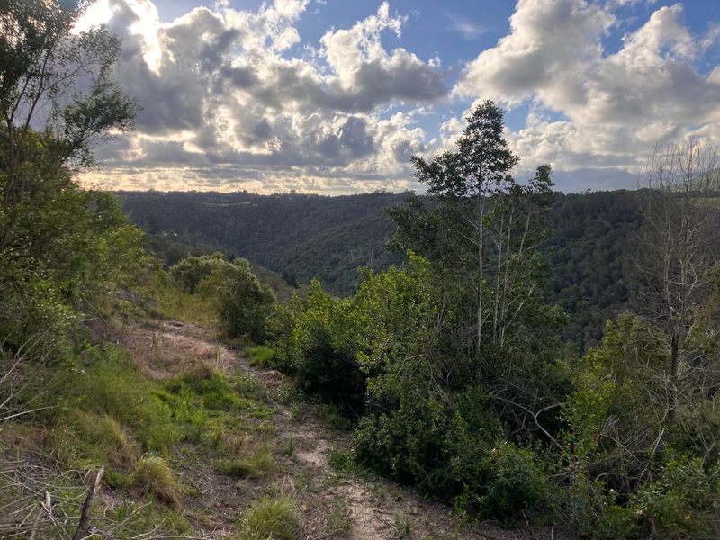 ***Local or International : Build your eco-friendly home in Hoekwil with Scenic views of the River and Mountains*** 3.6 Hectares - Photo 7