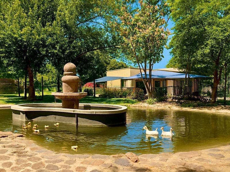 A tranquil garden setting featuring a central stone fountain, a pond, and mature trees, providing a peaceful outdoor landscape view.