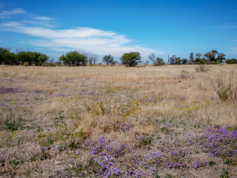 Vacant Land near Weltevrede Dam, Koppies - Plot 351 - Photo 5