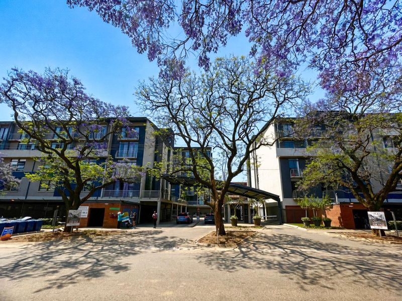 Front view of a modern multi-story apartment complex featuring a paved driveway, covered entrance, and mature jacaranda trees.