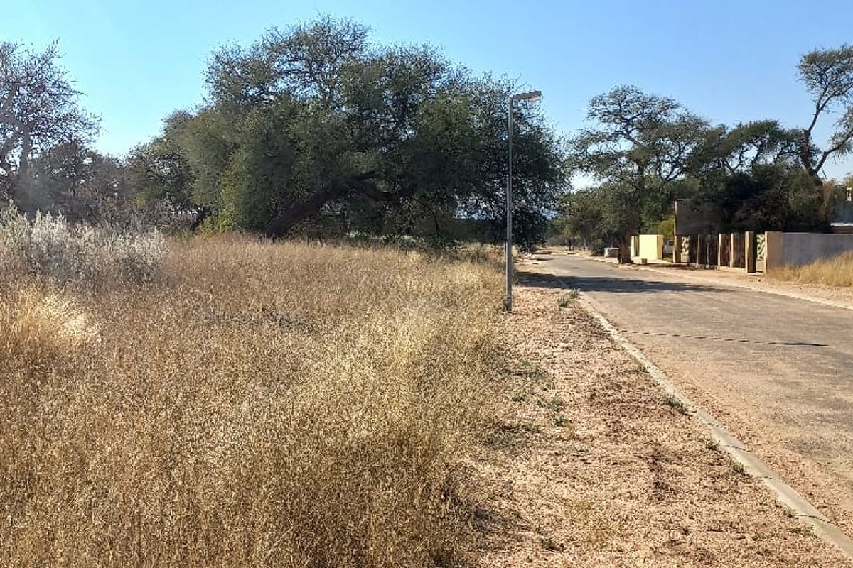 A view of the street frontage adjacent to the vacant residential land, featuring an asphalt road, street lighting, and surrounding natural vegetation.