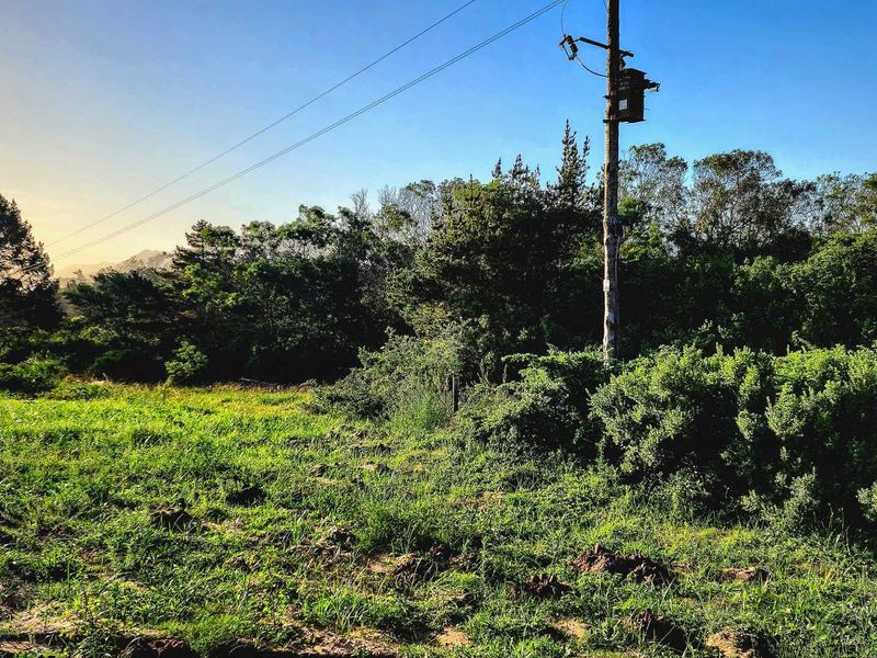 Smart Investment! Prime Land for Business or Residential Use! - Photo 10