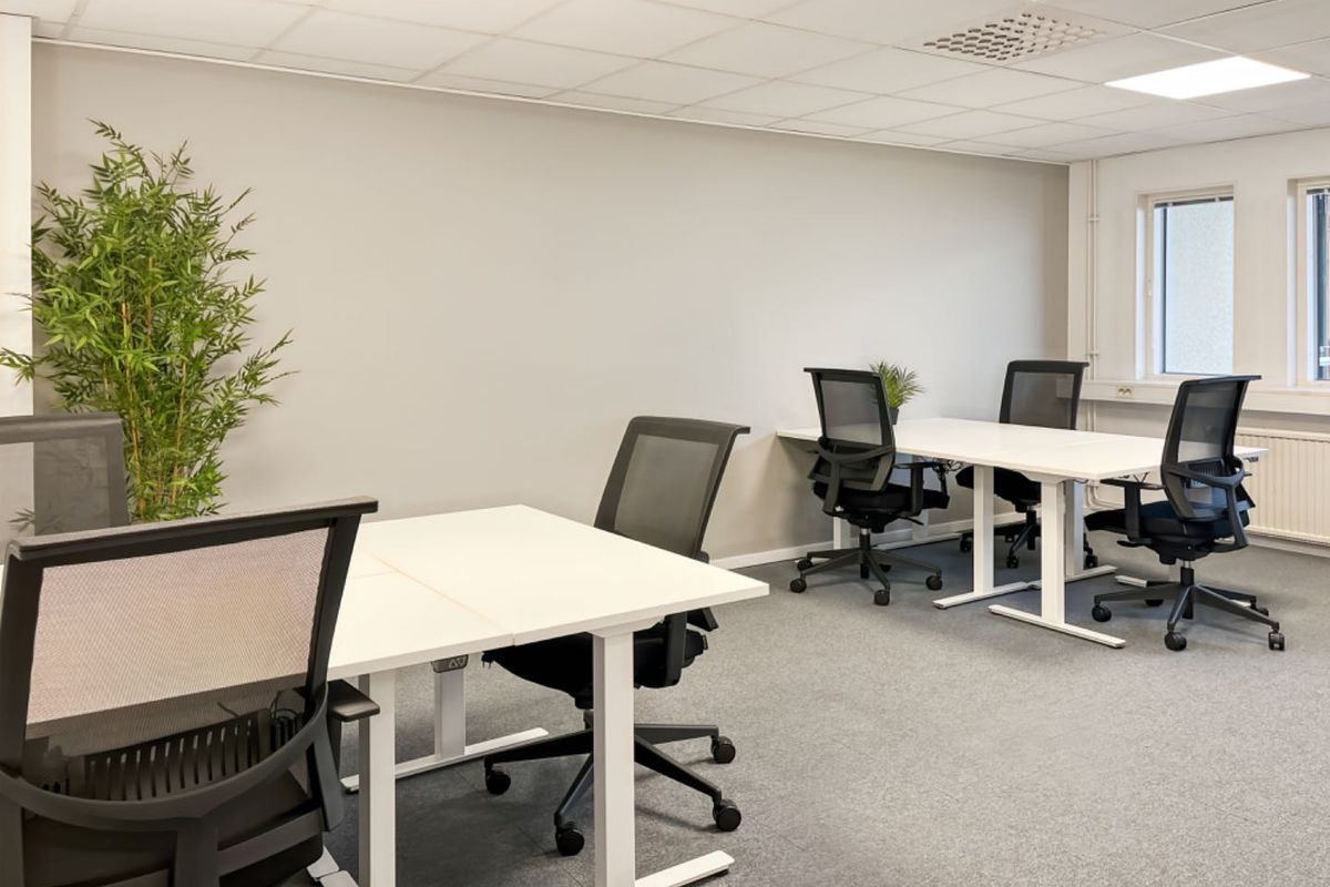 A bright, professional office space featuring carpeted flooring, a suspended ceiling with recessed lighting, and integrated heating radiators.