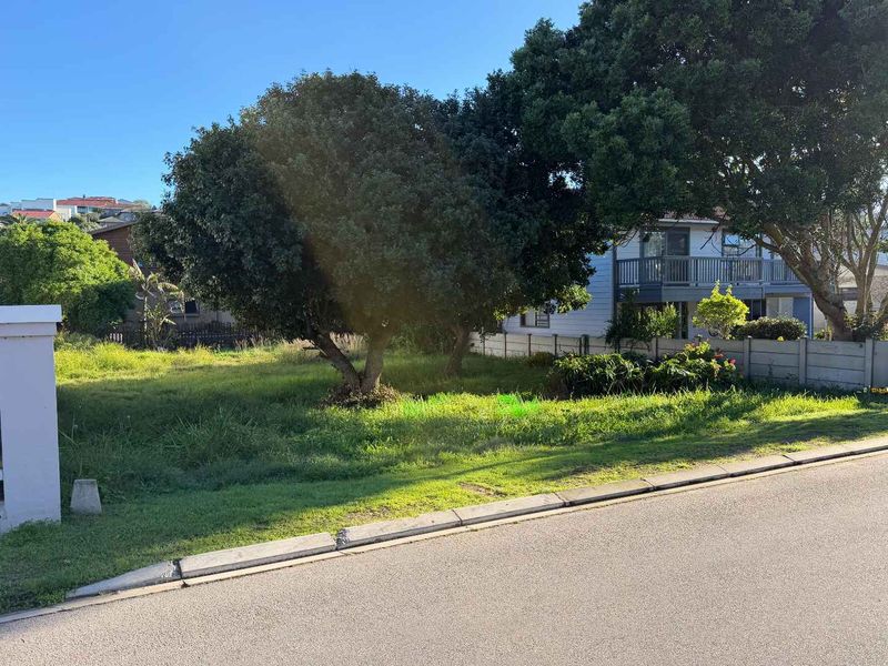 A vacant residential plot featuring mature trees and a concrete boundary wall, situated along a paved street.