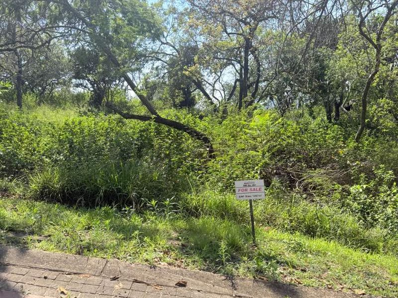 A vacant residential plot featuring mature trees and natural vegetation, accessible via a paved driveway, currently marked for sale.