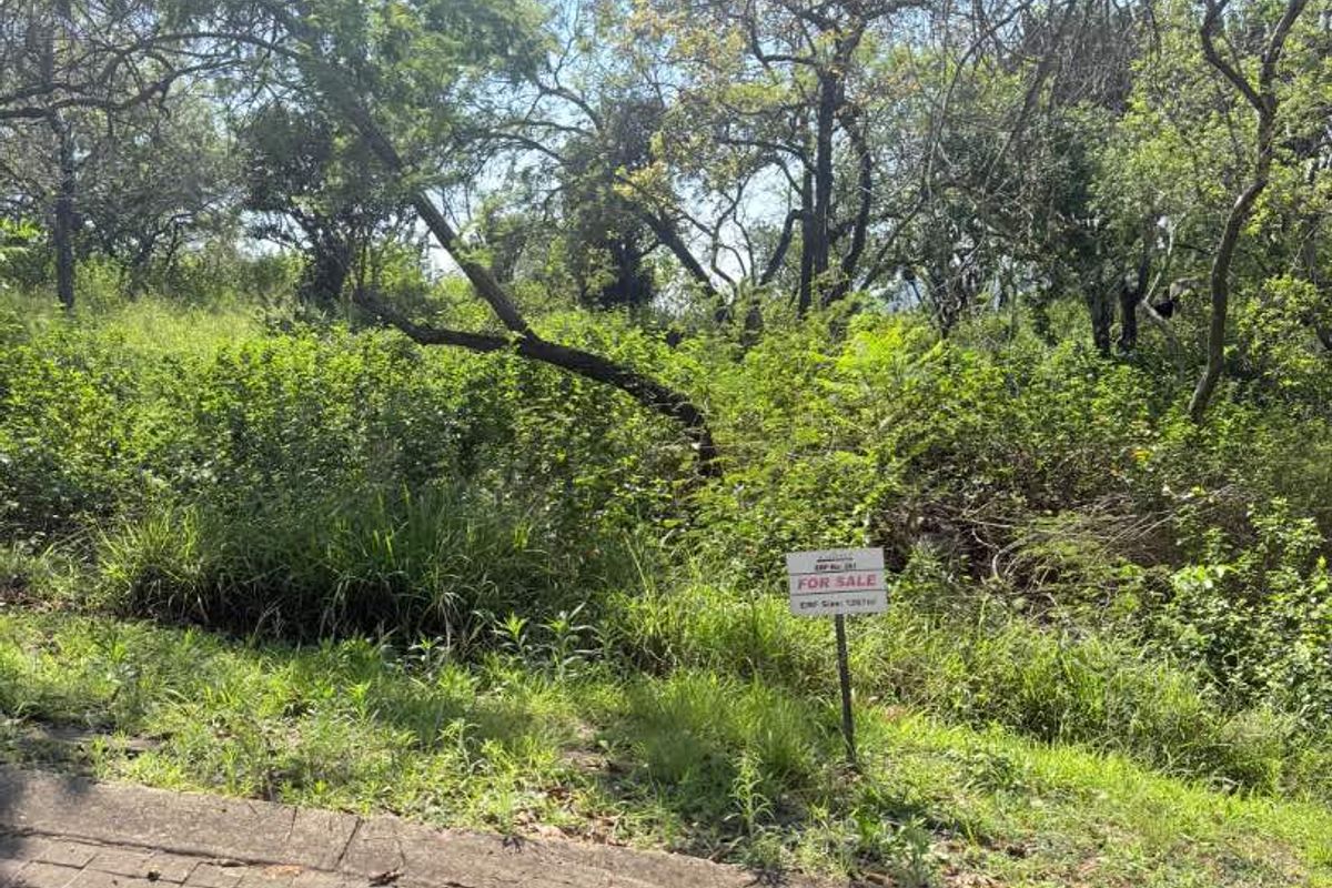 A vacant residential plot featuring mature trees and natural vegetation, accessible via a paved driveway, currently marked for sale.
