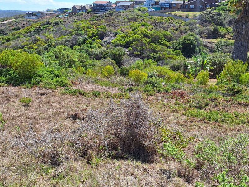 Prime Coastal Canvas: 990m2 with Unobstructed Ocean Views - Photo 4