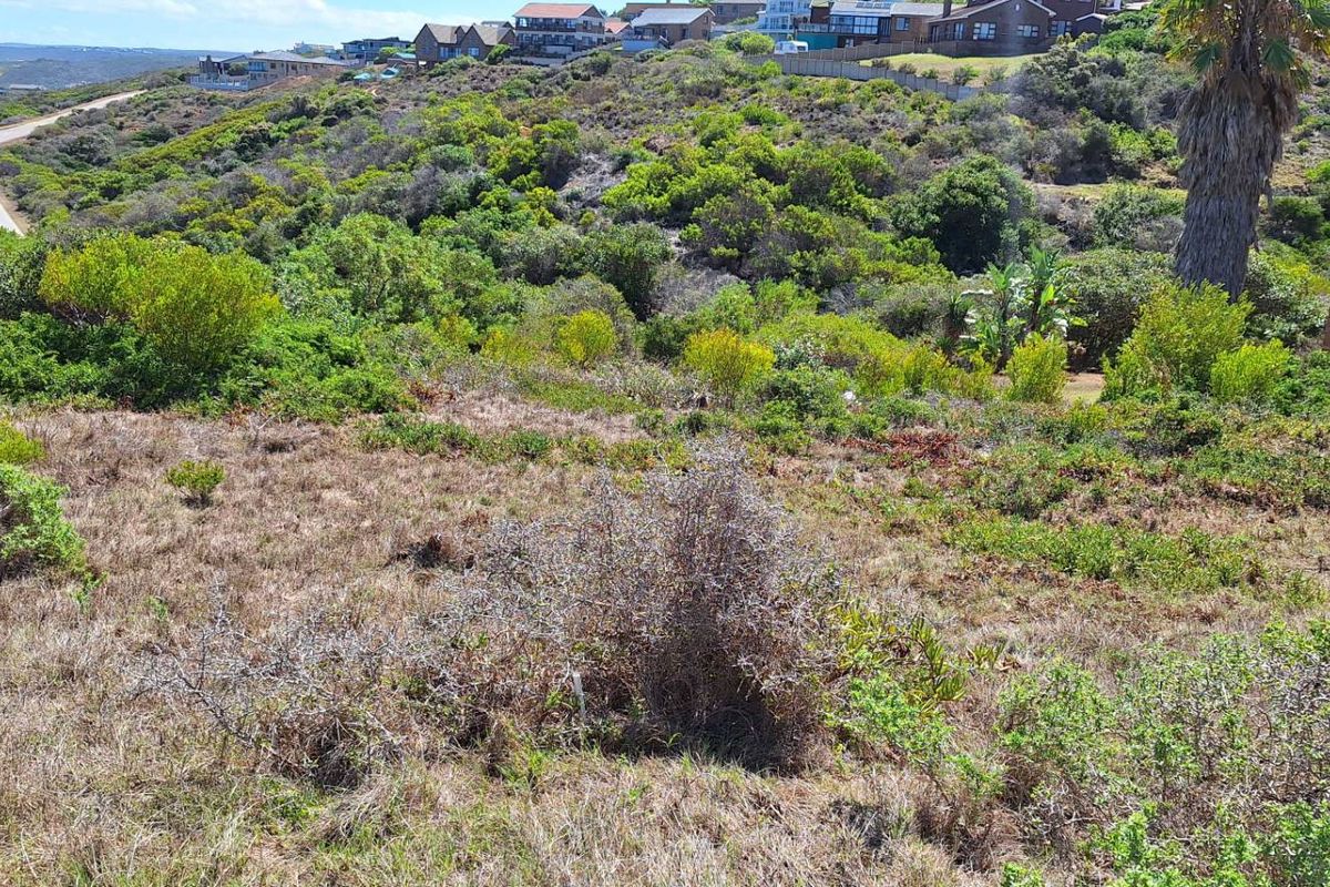 Prime Coastal Canvas: 990m2 with Unobstructed Ocean Views - Photo 4