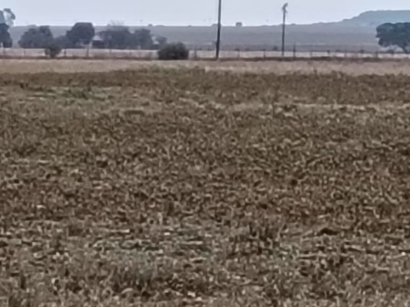 TOTALY OFF GRIDD SMALL FARM. RENTAL INCOME.  ENDLESS POTENTIAL. - Photo 7