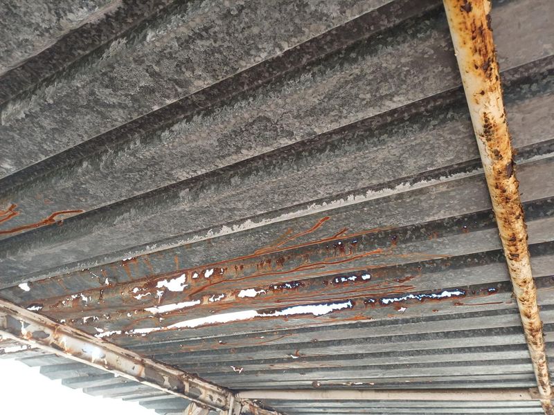 Spacious Family Home with Endless Potential – A True Renovator’s Dream - Photo 3