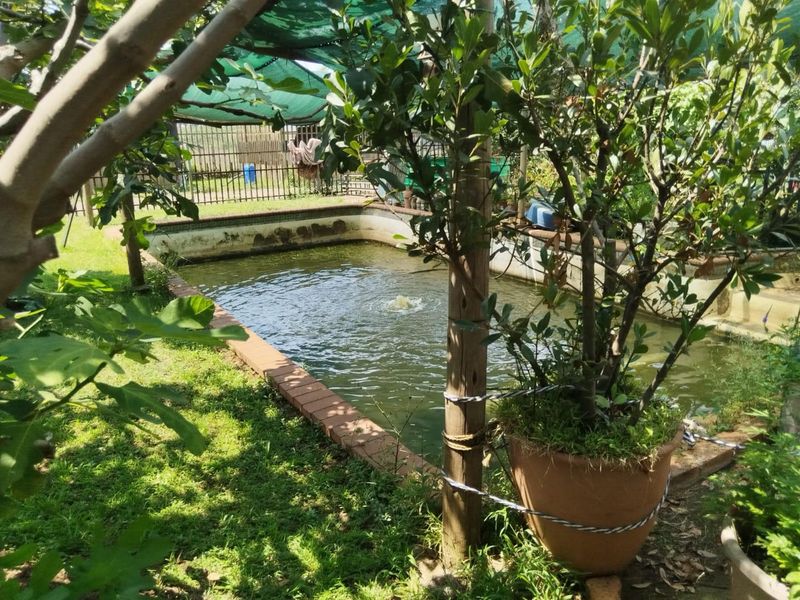 Prime Small Holding with Commercial Potential Next to Riverfields - Photo 6