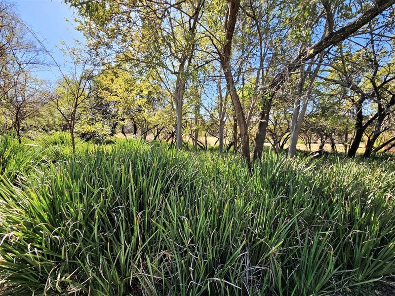 8300m2 Vacant Land in K'Shane, Kosmos - Photo 8