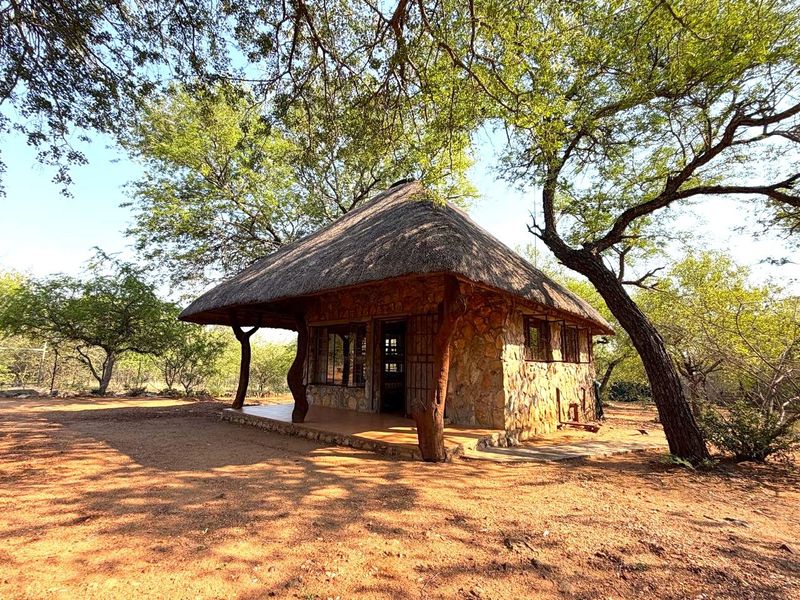 Exclusive to Century 21 Wildlife Properties, Tranquil Bush Home in Ndlovumzi Nature Reserve - Photo 3