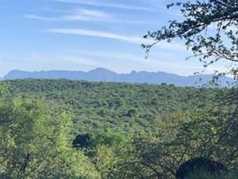 Vacant land for sale in the popular Elephant Rock Eco Estate. - Photo 5