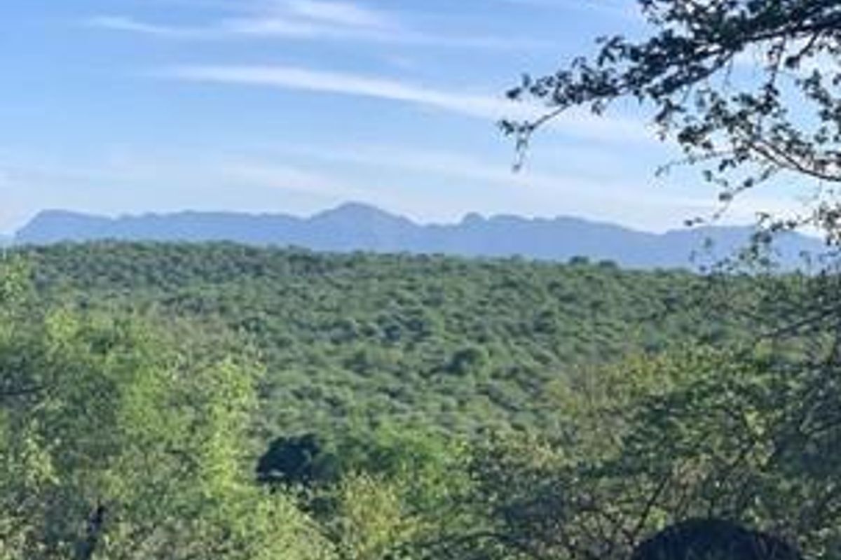Vacant land for sale in the popular Elephant Rock Eco Estate. - Photo 5