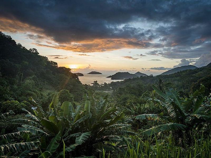 A scenic landscape view overlooking lush tropical vegetation, rolling hills, and the ocean at sunset, showcasing the natural beauty of the vacant land.