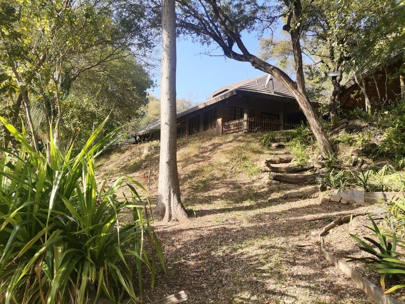 A view of the rear brick facade of the house, set on a sloped, wooded plot with natural timber steps leading up to the dwelling.