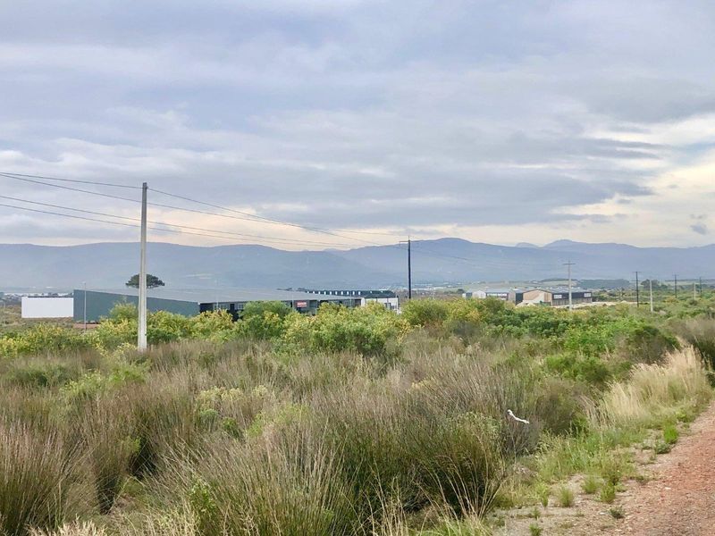 A view of the vacant commercial land featuring natural vegetation, utility poles, and distant mountain scenery.