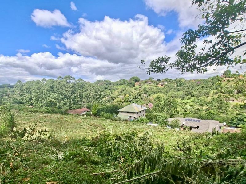 Prime Vacant Land Opportunity - Photo 5