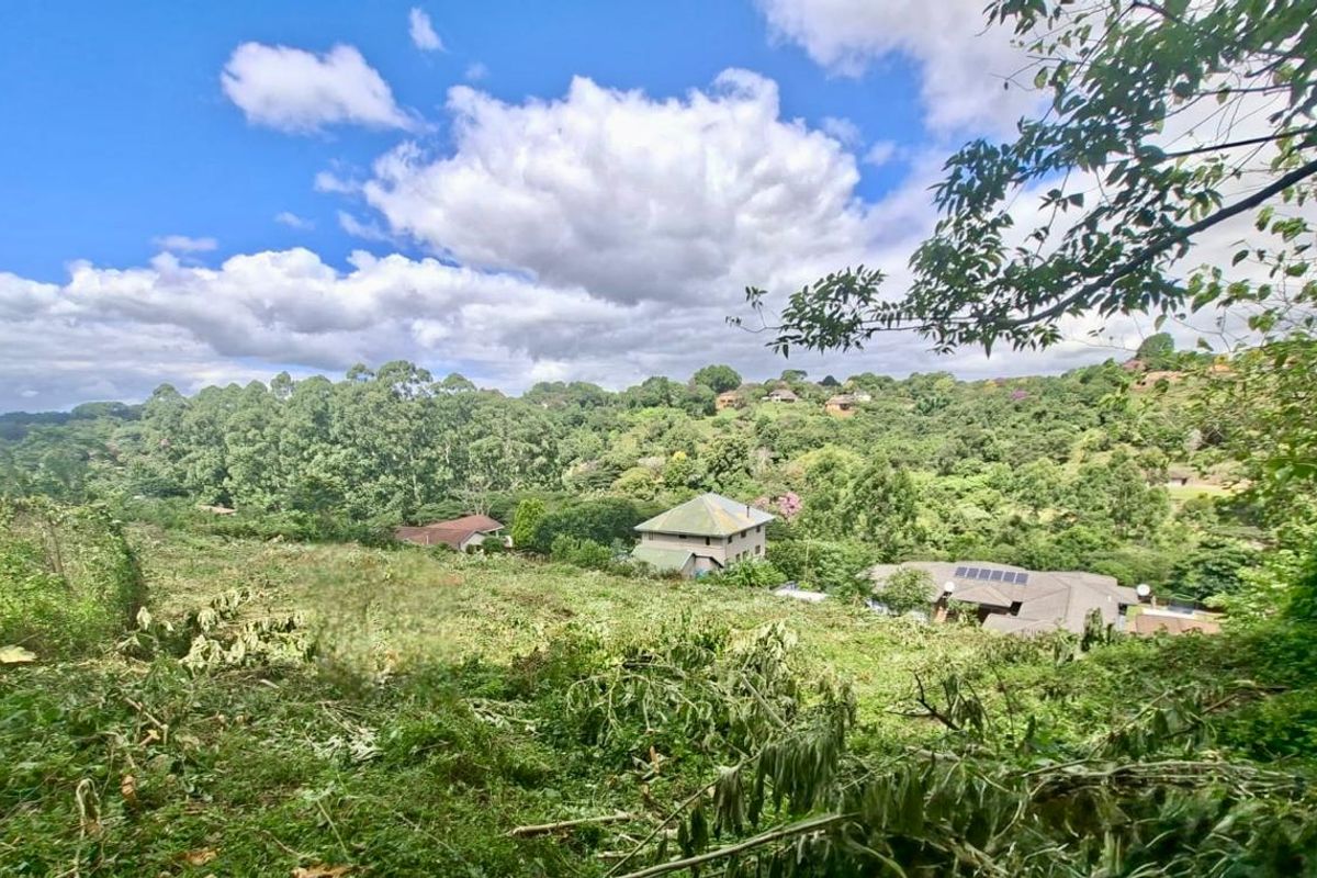 Prime Vacant Land Opportunity - Photo 5