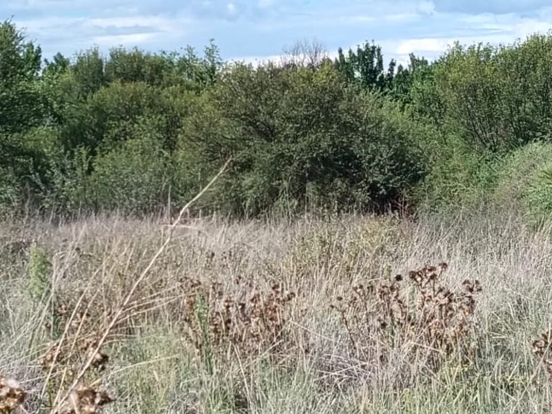 VACANT LAND. VERY SAFE AREA.   AFFORDABLE PRICE. ONE SIDE HAVE  A SMALL BUSHY AREA. - Photo 7