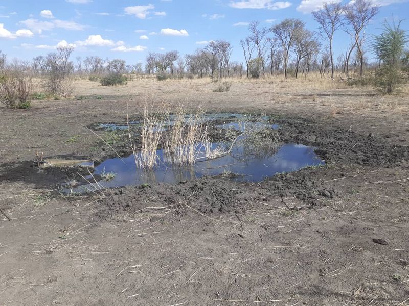 Khaudum Farm For Sale - Photo 5