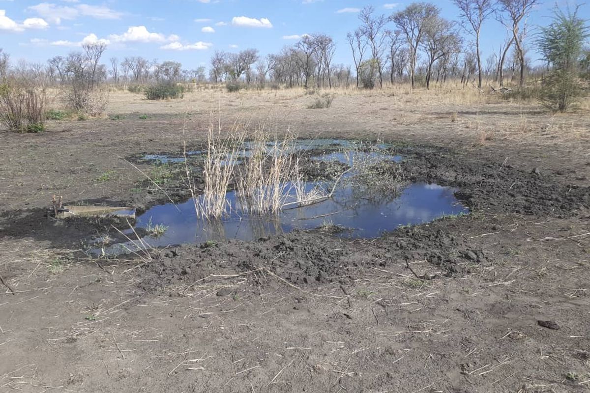 Khaudum Farm For Sale - Photo 5