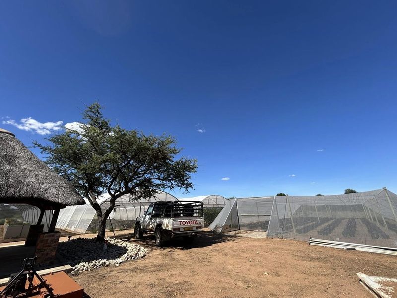 Outdoor area featuring a thatched roof structure and multiple greenhouse tunnels with shade netting on a small holding property.