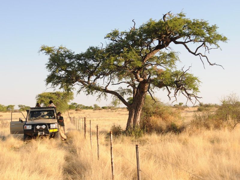 Guest- and game farm, near the International airport and within the Windhoek Municipal area - Photo 5