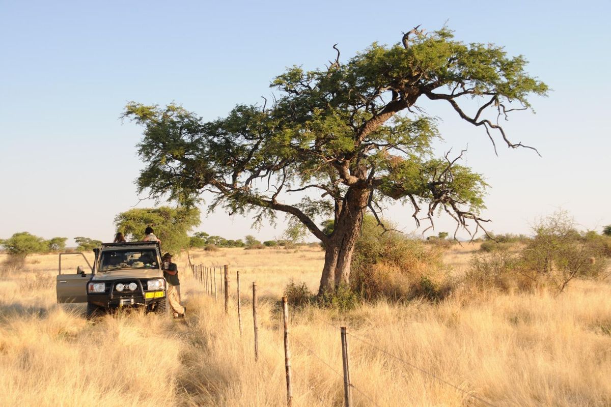 Guest- and game farm, near the International airport and within the Windhoek Municipal area - Photo 5