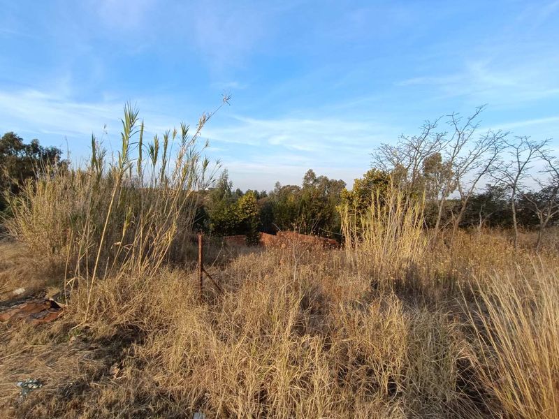 A view of a vacant residential plot featuring overgrown grass, wild vegetation, and partial perimeter fencing.