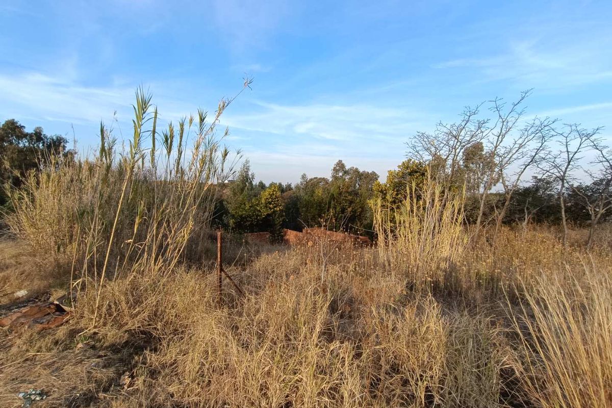 A view of a vacant residential plot featuring overgrown grass, wild vegetation, and partial perimeter fencing.