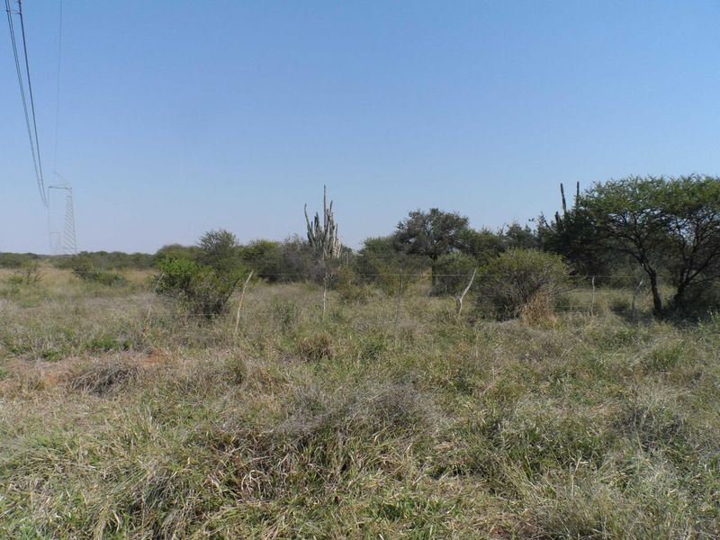 750 HECTARE FARM FOR SALE IN MOOKGOPONG - Photo 5