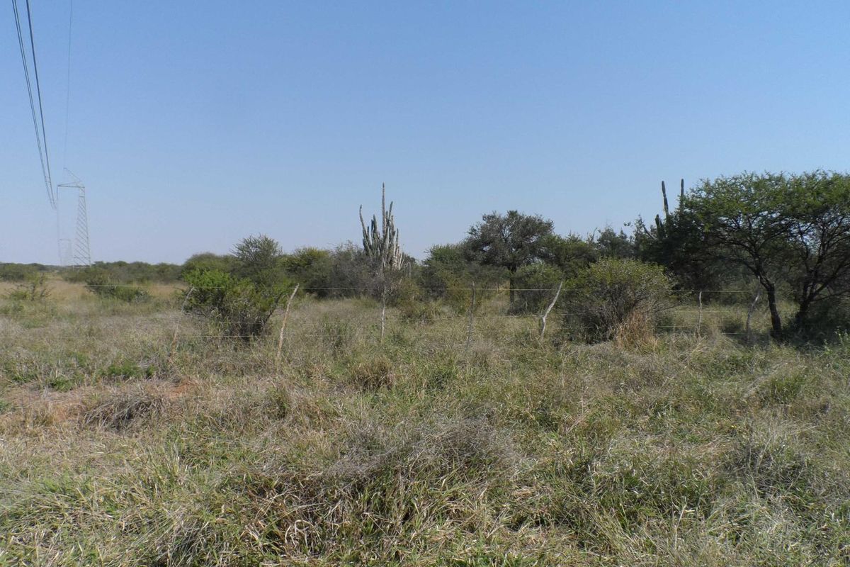 750 HECTARE FARM FOR SALE IN MOOKGOPONG - Photo 5