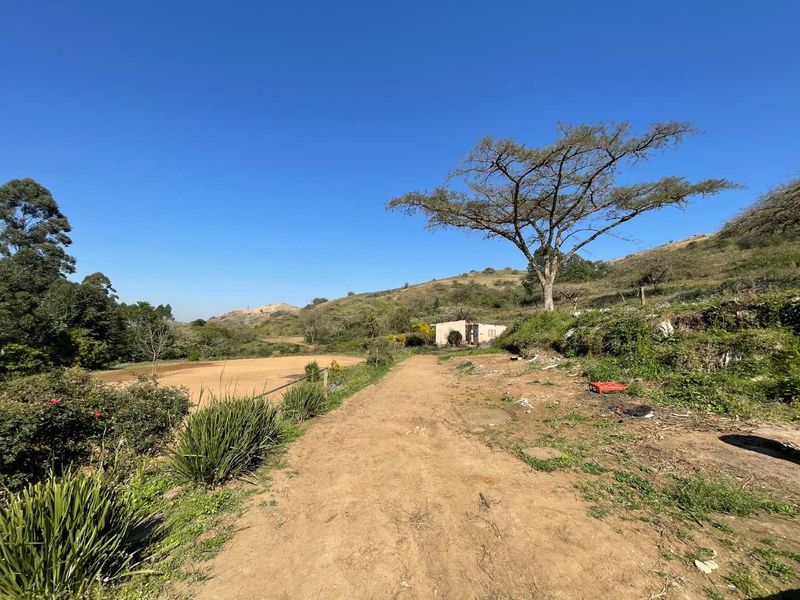 Expansive 4-Hectare Land – Ideal for Agriculture or Projects - Photo 9