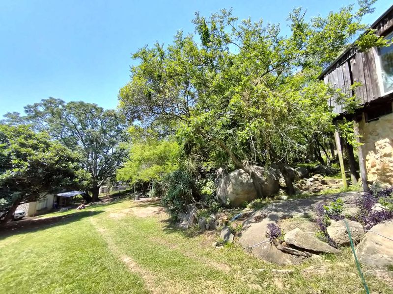 Small holding on the Clarmont road - Photo 8