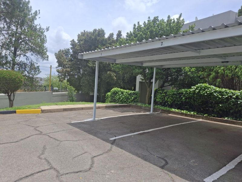 An outdoor covered parking area featuring a metal carport structure and marked asphalt parking bays.