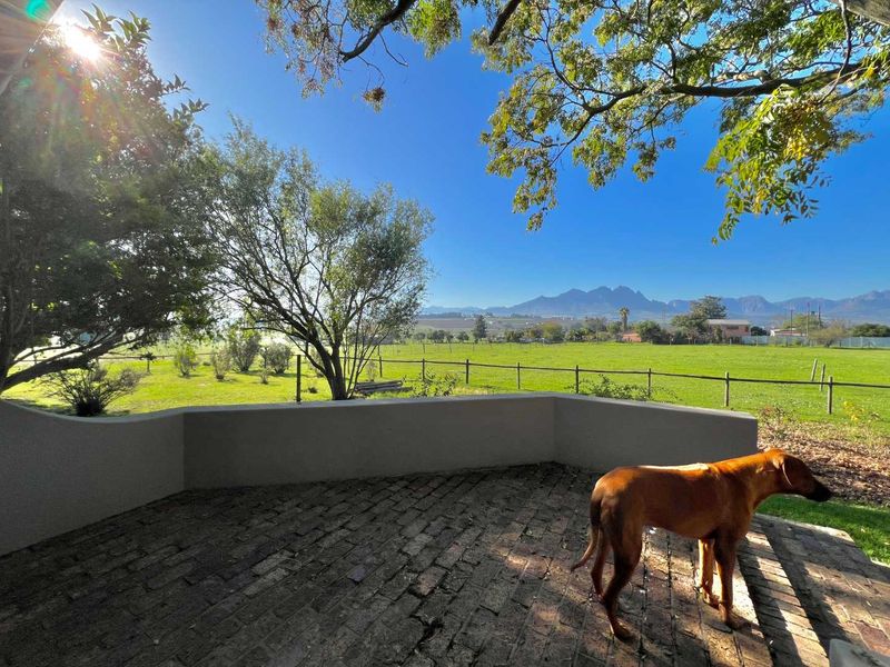 Rural charm meets opportunity - Photo 7
